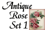 Antique Rose Set One