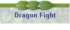 Dragon Fight