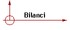 Bilanci