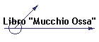 Libro "Mucchio Ossa"