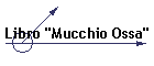 Libro "Mucchio Ossa"