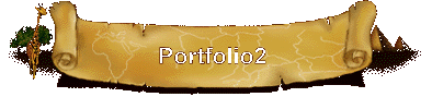 Portfolio2