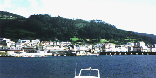 VIVEIRO