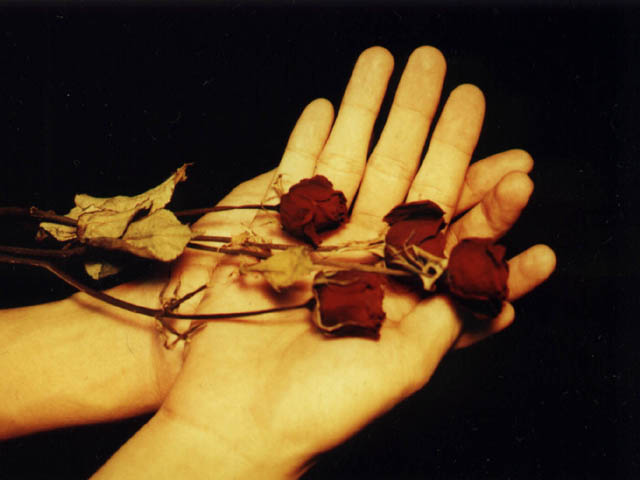 dried roses.jpg (39387 bytes)