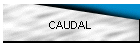 CAUDAL