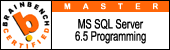 MS SQL Server Programmer