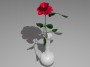 Rose in Vase