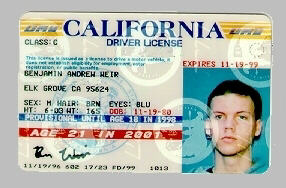 Driver's License