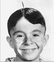 alfalfa