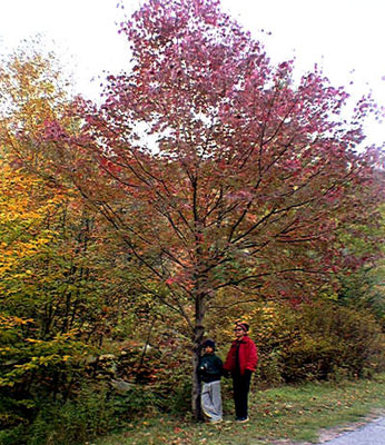 Franconia Notch, NH