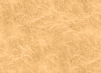 beige056.jpg