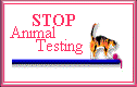 please stop animal testing