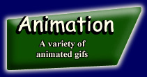 Animation button