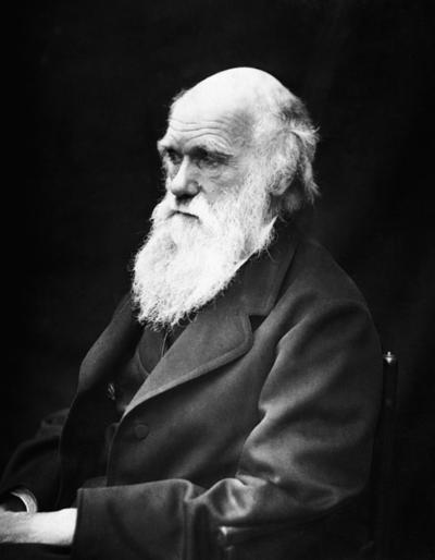 Se celebran los 200 aos del nacimiento de Charles R. Darwin. 12 de Febrero de 1809.