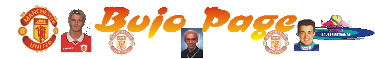 titelgrafik2.gif (22283 Byte)