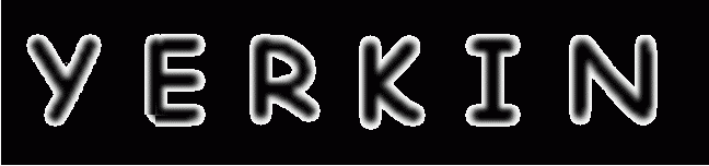 Yerkin logo