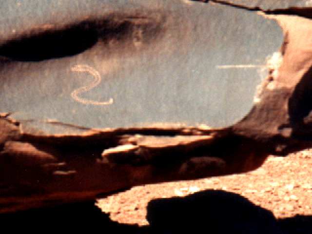 Petroglyph