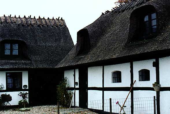 Thatched roof