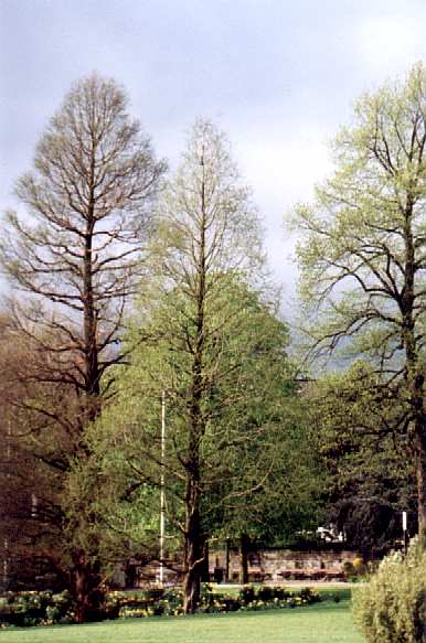 Botanischer Garten