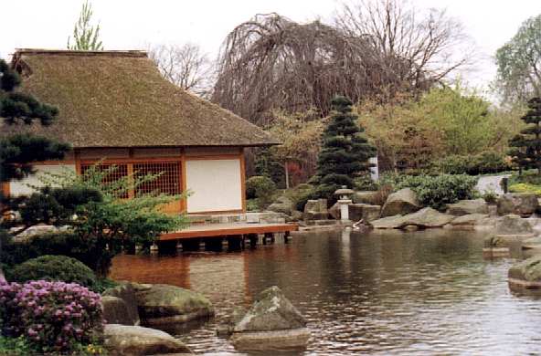 Japanese garden 1