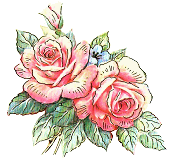 Pink Roses