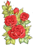 Red Roses