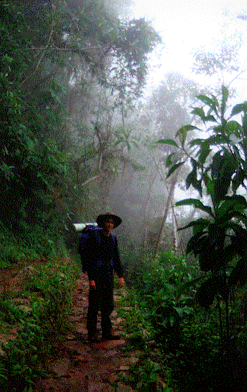 Delusions of being Indiana Jones on the Inca Trail near Machu Picchu