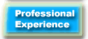 Professional Experience