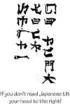 chinese.jpg (7138 bytes)