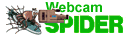 webspider.gif (2896 bytes)