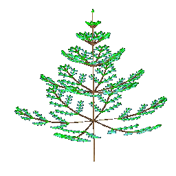 pine3d.gif