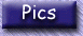 prpics.gif (3251 bytes)