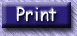 prprint.gif (3322 bytes)