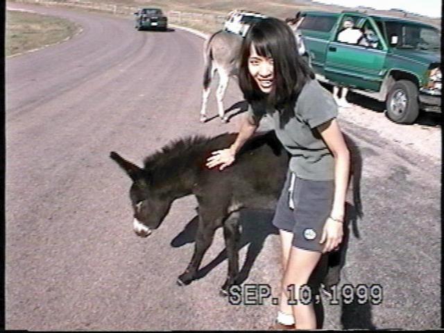 Teri feeding petting a mule