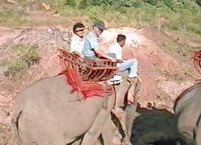 Ting's parents on an elephant