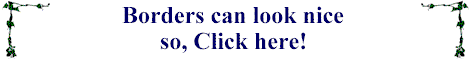 BaordersLookNiceBanner1.gif (2839 bytes)