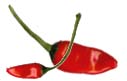 Chilli