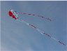 chinese fertility kite