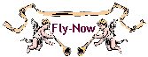 Fly-Now