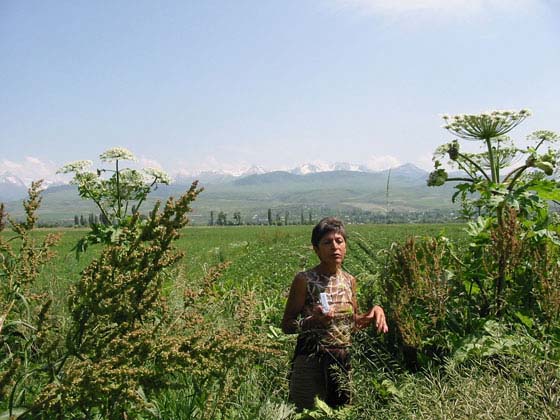 Lake_Issykul_Kyrgyzstan