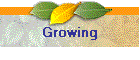 growing.gif (3606 bytes)