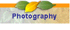 photography.gif (3602 bytes)