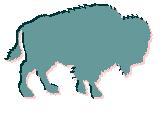 Buffalo