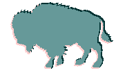 Buffalo