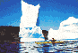 Iceberg