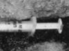 Sardinian Syringe - Sardinia