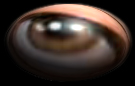 eyeball.JPG (10216 bytes)