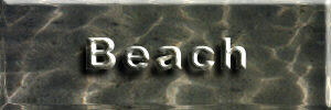 beachicon-c.jpg (8710 bytes)