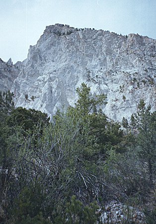 Chalk Cliffs