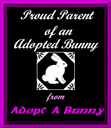 adoption certificate